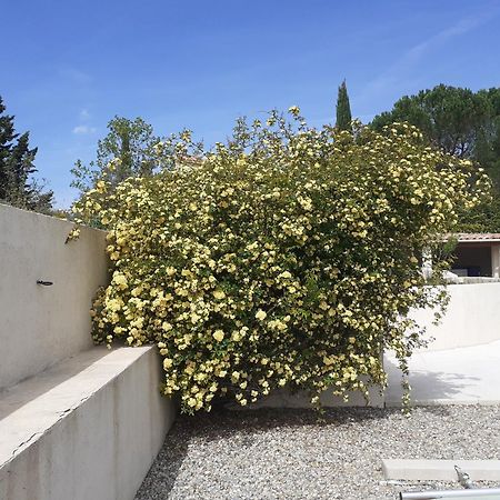 Chambres D'Hotes, B&B Climatisees La Borrellienne Saint-Maximin Kültér fotó